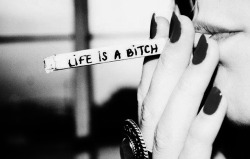 Life is a bitch on We Heart It. https://weheartit.com/entry/76873084/via/cookies_81