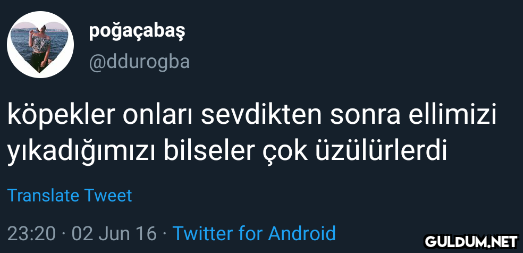 poğaçabaş @ddurogba...