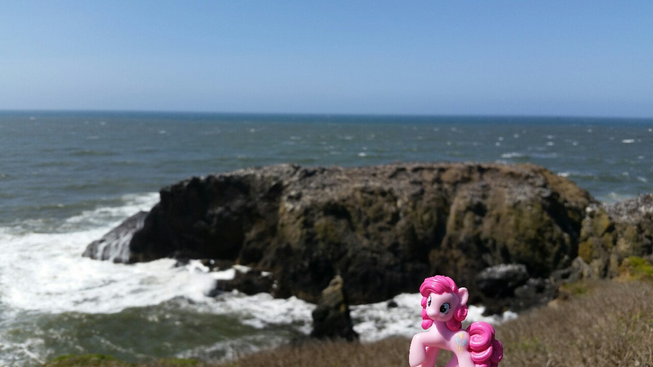 koipony:  pinkiepiesightings:  “Hmm, I don’t see any seaponies. Just thousands