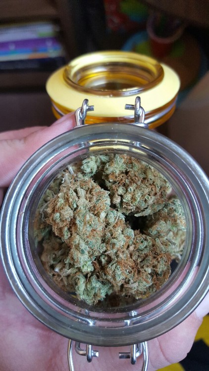 dabakin-cloudblower:  New jar, new weed. 