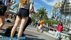 bayareacandi:SHORTSHORTS COMP.