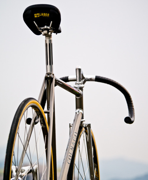 bisikleta:  COLNAGO MASTER (by Father_TU)