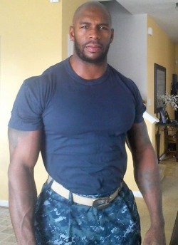 BIG BRAWNY STUDS