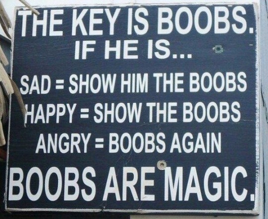dirtylillkitten:  eglideriders-kitten:  Boobs can fix everything ☺️☺️☺️  💋😈  True