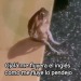 blueboy-affection: