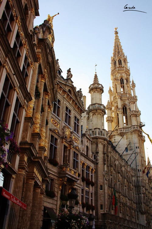 PHOTO of the day | May 2, 2014 | Brussels