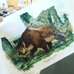 commanderholly:  Went to @gallerynucleus today and got a @diterlizzi print! Owlbear!!! Trying to get inspired 🖌🖊 