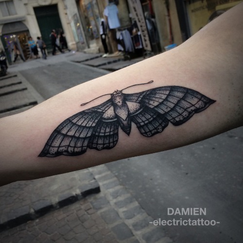 damienelectrictattoo:  Did this moth at lowbrow tattoo!!
