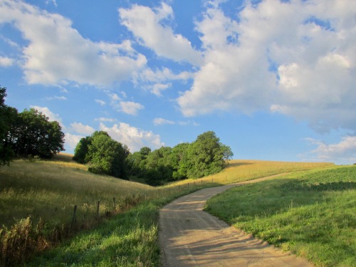 geopsych:Farm road in June.I might have posted this one before. I know I posted one from this set.