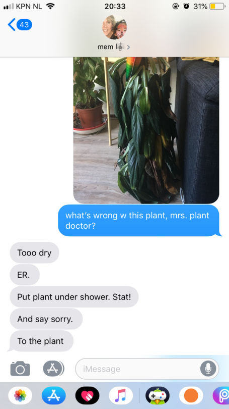 likeful:  likeful:  i think it’s so wholesome that whenever me or my friends have issues w our plants 🌱 .. i always send my mom a pic and she gives us a diagnosis and what to do   