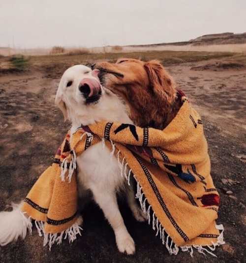 goldstarluke: (ﾉ◕ヮ◕)ﾉ*:･ﾟ✧