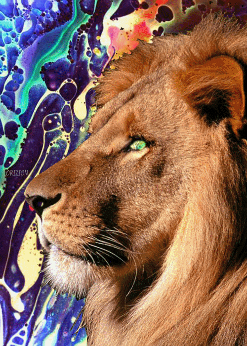 trippiest:  orizion:  Illicit  lion    Trippiest Blog on Tumblr