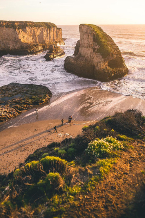 banshy:  Shark Fin Cove Beach by Daniel Gorostieta