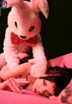 Rabbit's Room