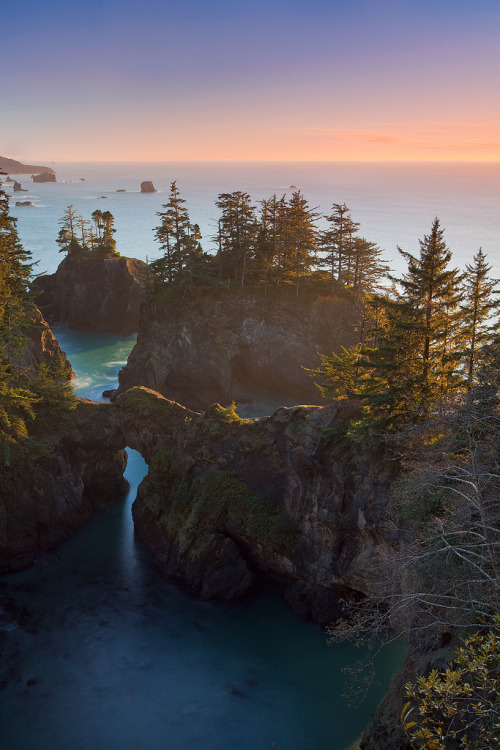 wedontgiveafuckallthetime:  natureac:  This blog will make you feel at peace    Instagram: yotalkshit here   