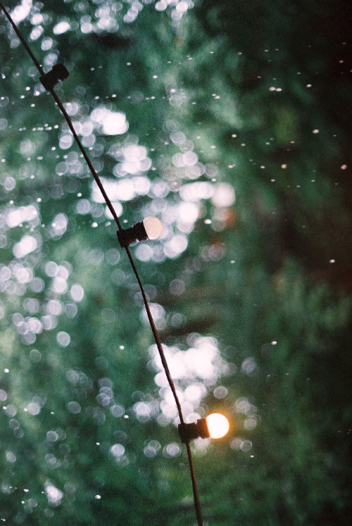 capture the moment