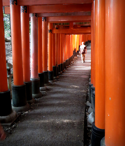 Na in het noorden van Kyoto te hebben gereisd zijn we in het zuiden naar Fushimi Inari Taisha g