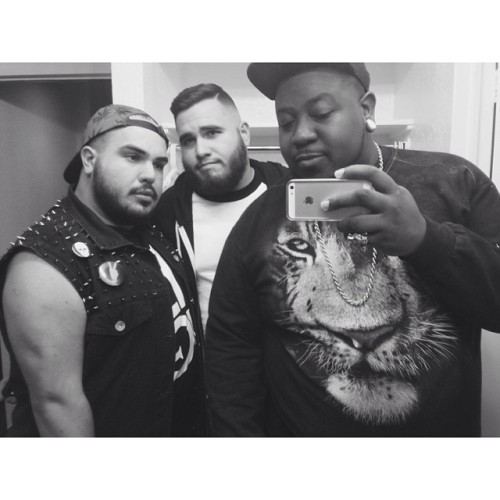 mrrobotico:  Bear pride. #gaycub