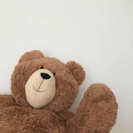 #teddy bears on Tumblr