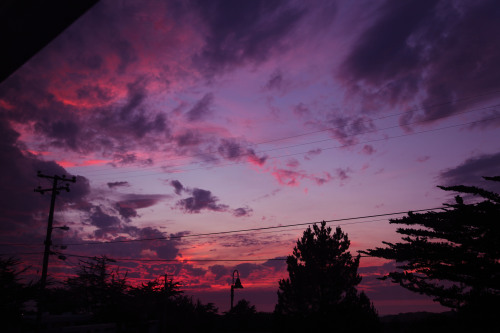 leatherboundleaves: I think the best sunset in Monterey Bay in 2013