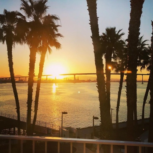 I could get used to this.  #sandiego #sunrise #california #water #palmtrees #coronadoisland #serene 