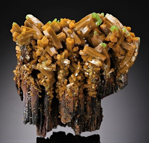 Pyromorphite - Les Farges Mine, Ussel, Limousin, FranceA wood-like core of partially dissolved stala