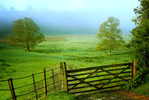 bydbach:lle gorau yn y byd yw neuadd gregynog un bore sadwrn yn y gwanwyn. rhan ii.