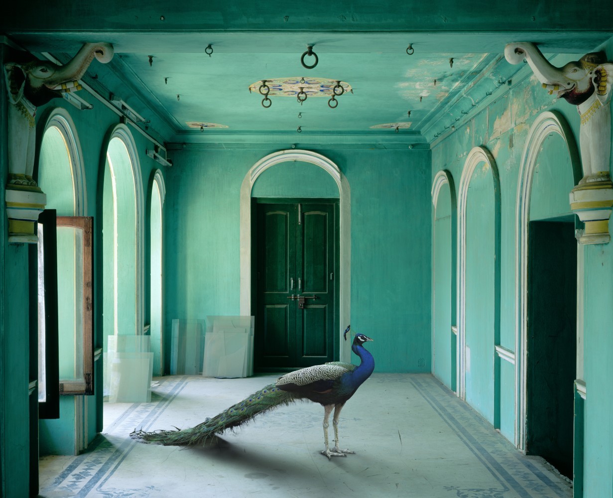 cerceos:    Karen Knorr - India Song