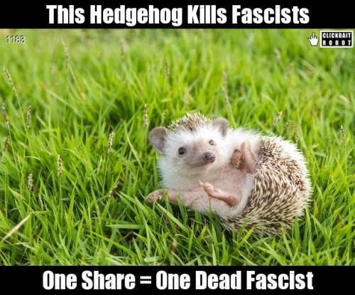 clickbaitrobot:This Hedgehog Kills Fascists