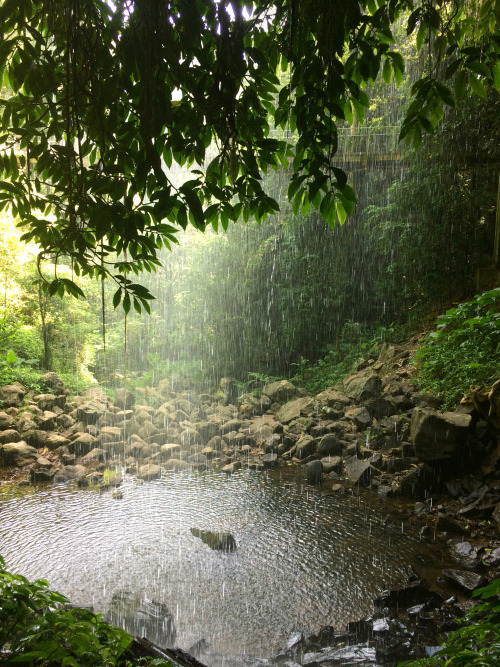 naturenymph69:standing in a cave behind a waterfall! Dorrigo National Park, New South Wales, Austral