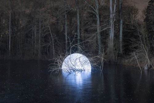 actegratuit:Marche Céleste: Alexis Pichot’s Illuminating Immersion Into the Forest of Fontainebleau 