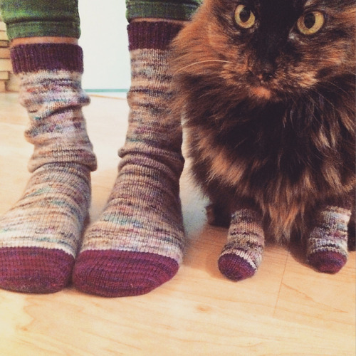 istandonsnowpiles:  stitcherywitchery:  For those of you who feel guilty about knitting socks for yourself while your kitteh goes without, here’s a free pattern for Kitty Tube Socks.  Now you’ll be able to match.  By Ruth Mayer.  Lesbihonest these