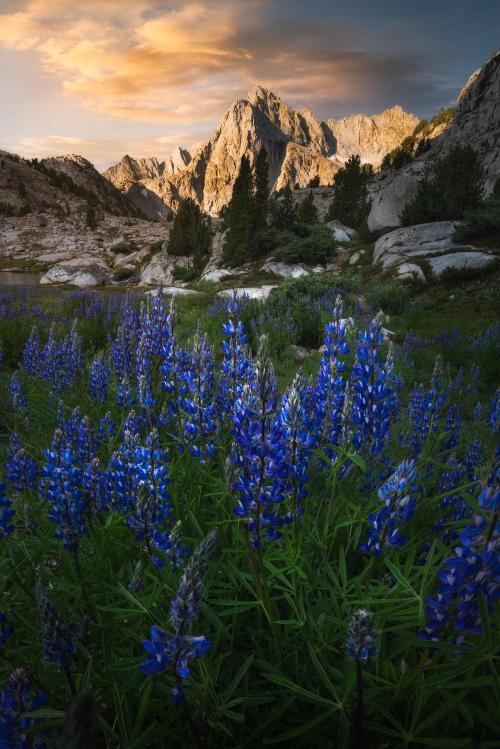 amazinglybeautifulphotography:  Sabrina Basin, Sierra Nevada CA [1367x2048] [OC] - Author: MistaKimsta on reddit