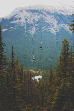 earthflowur:  eartheld:  i-doll:  1906; day four xi | banff, sulphur mountain  mostly nature  -