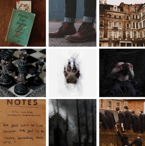 a-sprinkle-of-moodboardss:Werewolf Academia Student moodboard 