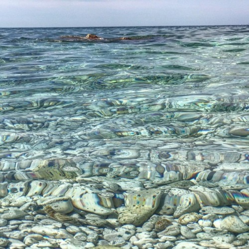 Water.Capo Bianco. Isola d'Elba. #capobianco #isoladelba #elba #elbaisland #toscana #tuscany #italia