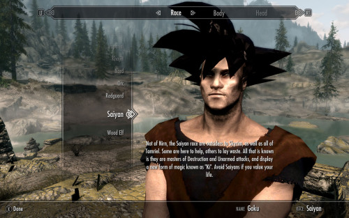 halosblogthing:Ah yes, I can’t wait for those good old Skyrim mods to make a return to the lim