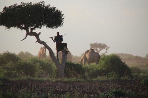 a-witches-brew: creativenomad: Jowhar, Somalia.