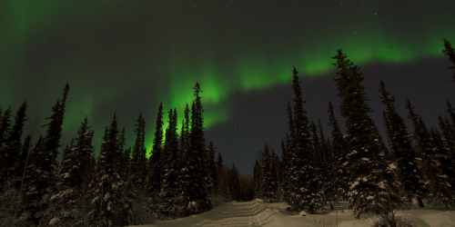 XXX spacettf:  aurora over down the road by Lee photo