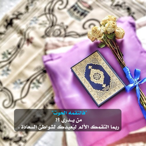 sweetygirlm:  جميــــلة جدا &lt;3 