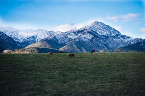 This is our kind of neigh-borhood. | : IG user justinbigart