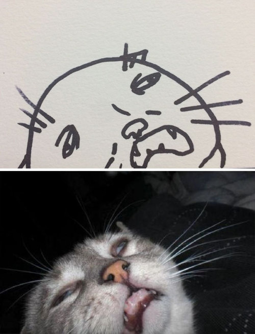 archiemcphee: Some might says that Brazilian artist Heloisa is really bad at drawing cats, but when 