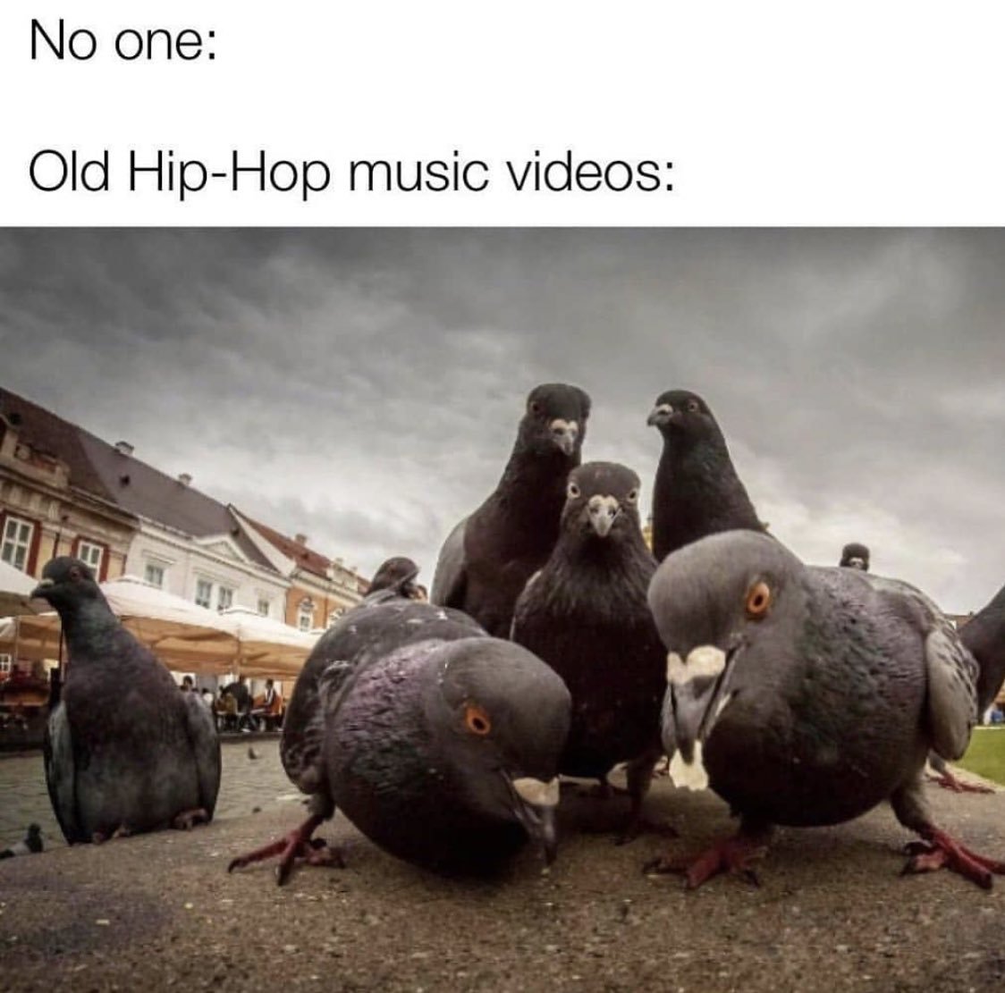 No one: Old Hip-Hop music...