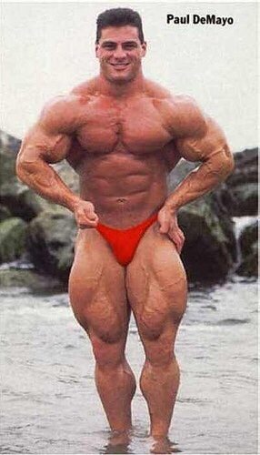 Paul Demayo