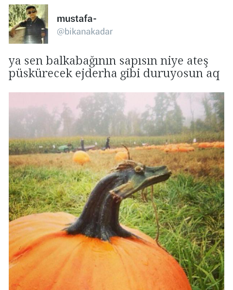 bikanakadar:  https://twitter.com/bikanakadar 