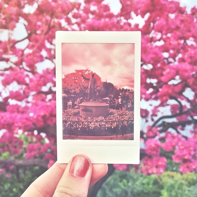 hayleythehatter:  la vie en rose 💗 (at Disneyland)