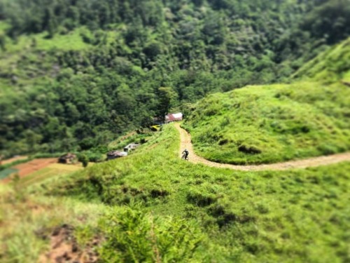 mtbcymru: The never ending descent #rumbleinthejungle17 #yakattack #mtb #mountainbike #mountainbikin