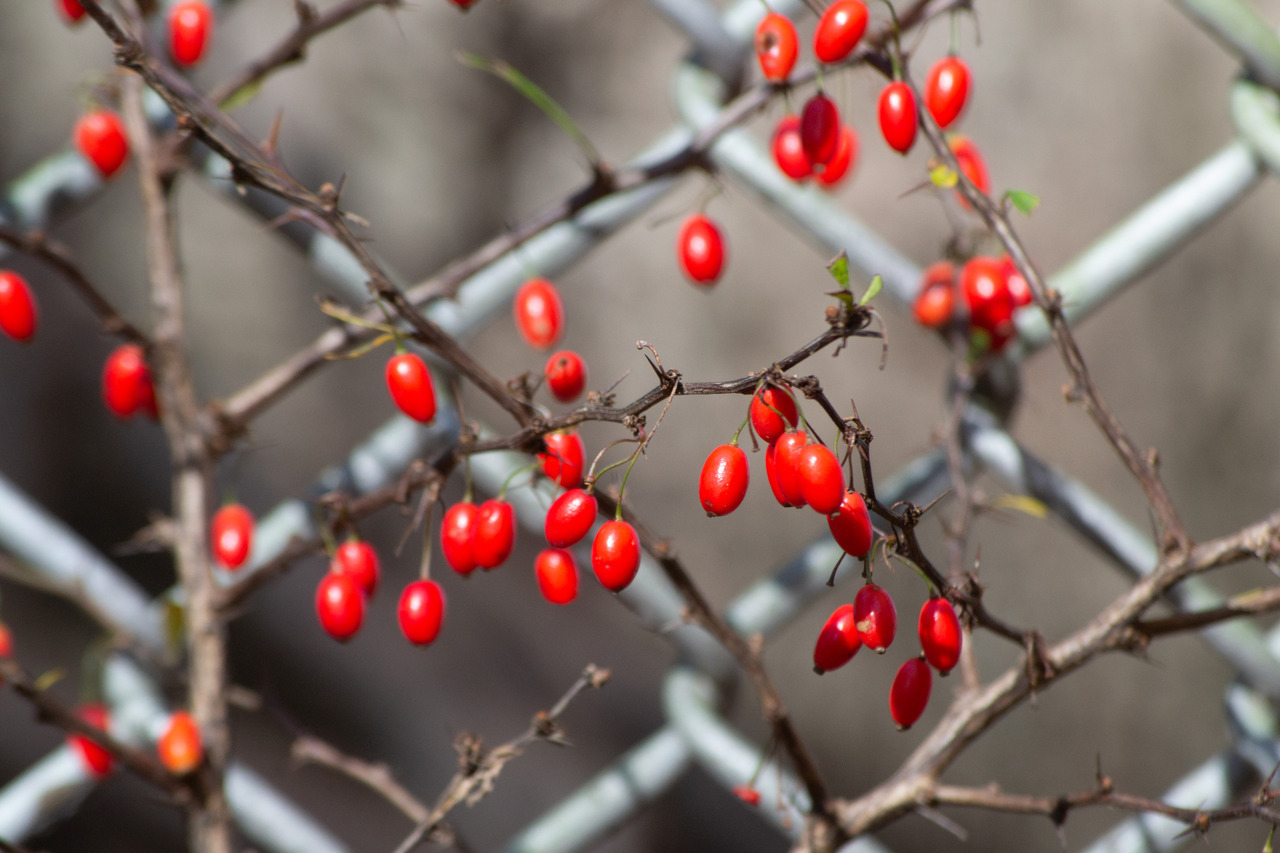 Tumblr Photo