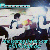 Yibo Please