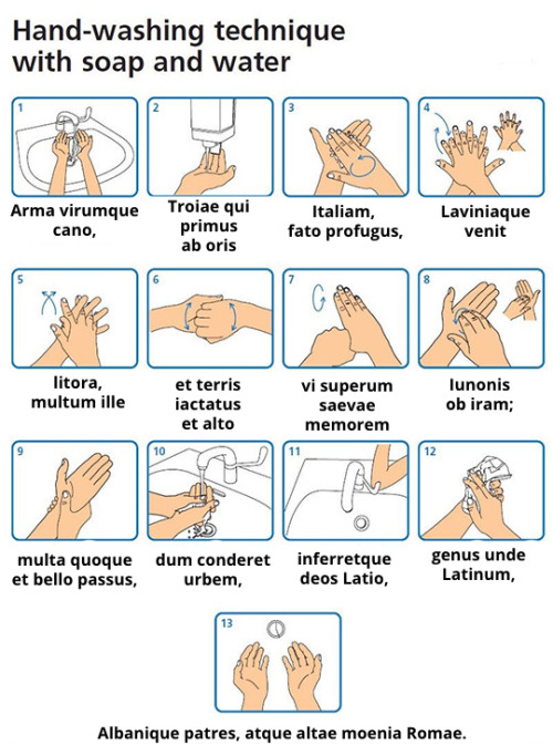 interretialia:marco-tullio:anyways~~~Technica Ratio Manuum Lavandarum Sapone Aquaque